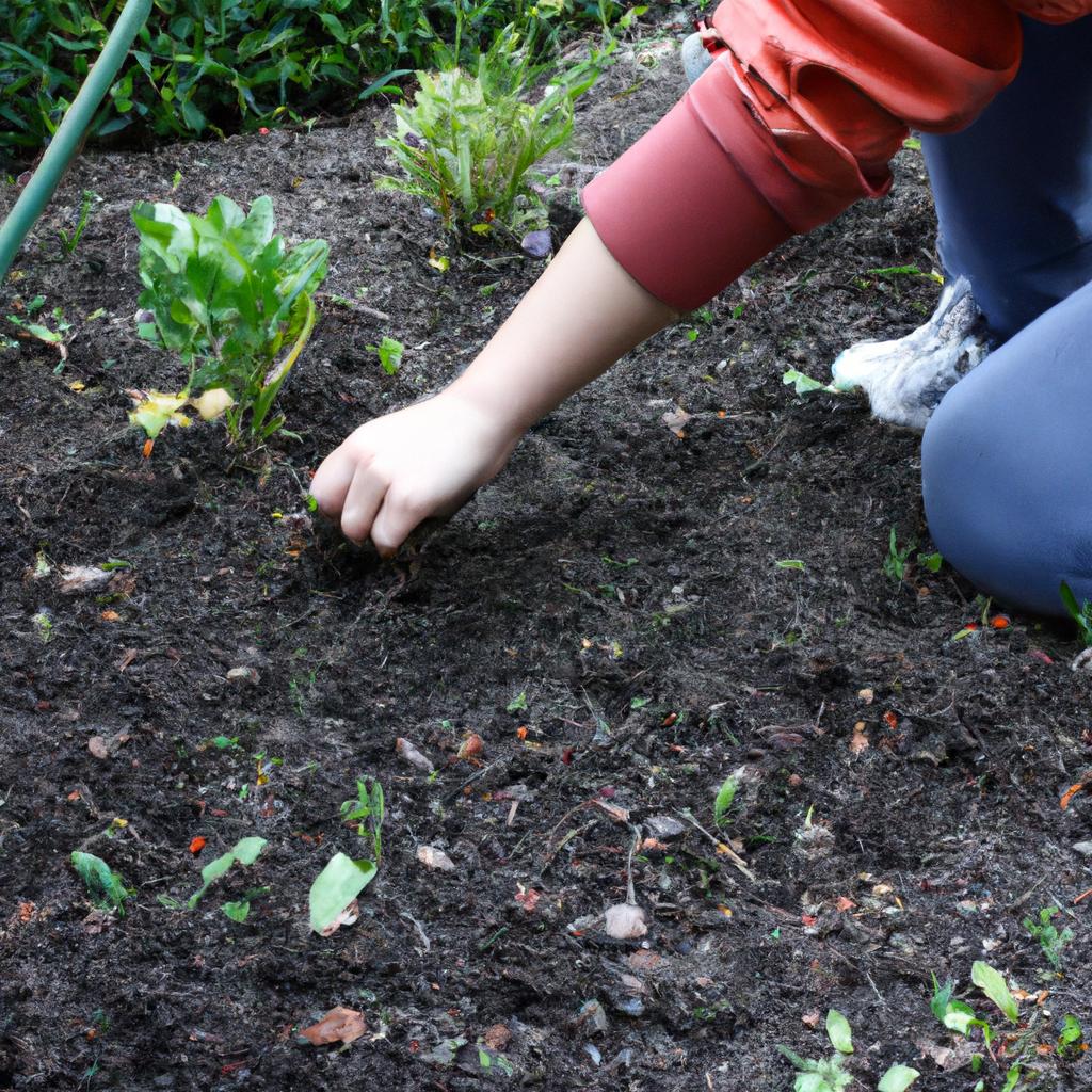 Person planting vegetables in garden