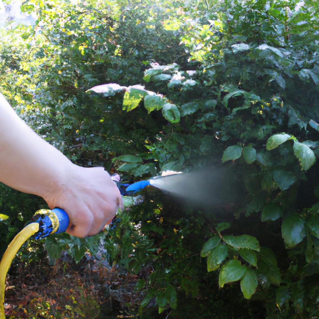 Person watering plants with hose